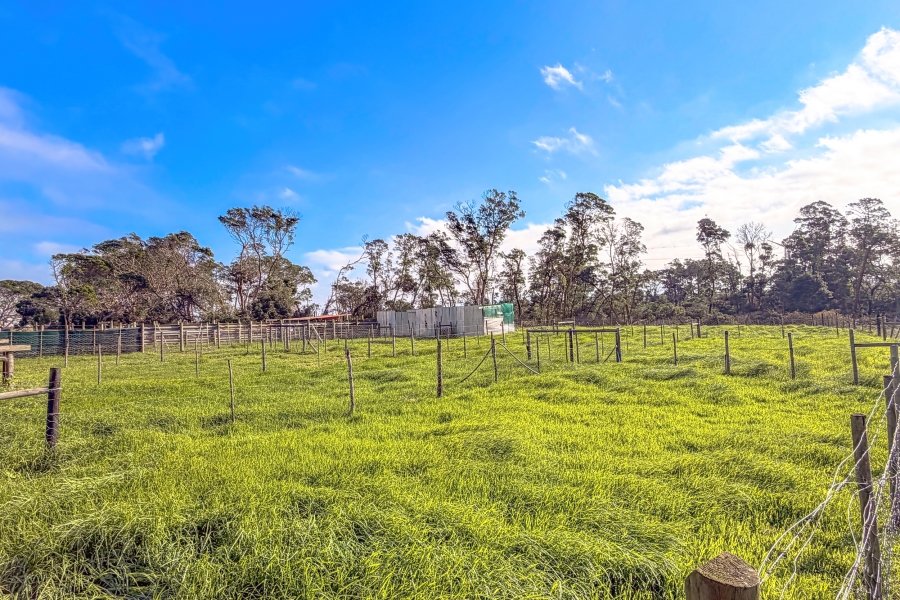0 Bedroom Property for Sale in Humansdorp Rural Eastern Cape